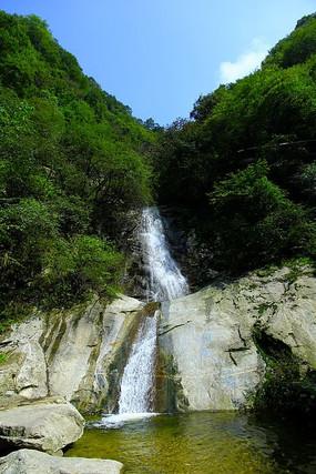 动物帮帮忙保卫家园